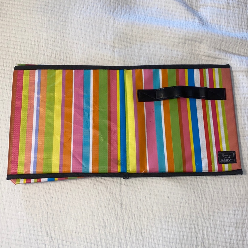 Rainbow Scout Bin